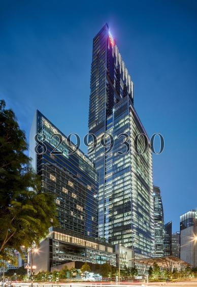 Wallich Residence At Tanjong Pagar Centre thumbnail photo
